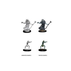 Sea Hag and Bheur Hag (2 Units) - D&D Nolzur's Marvelous Unpainted Miniatures