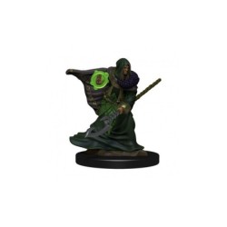 Elf Druid Male - D&D Icons of the Realms Premium Figures