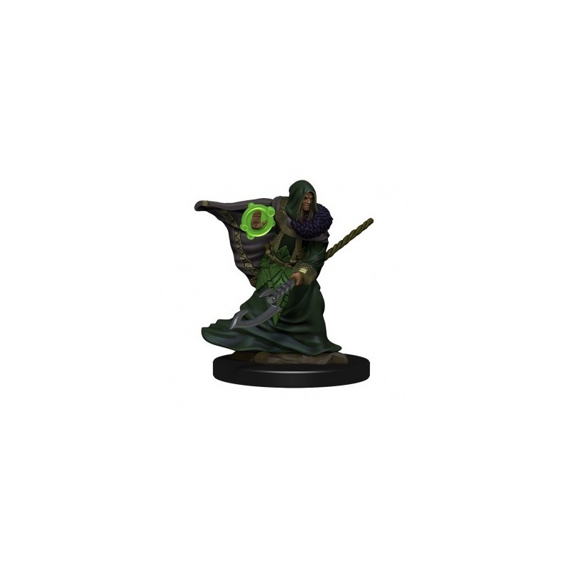 Elf Druid Male - D&D Icons of the Realms Premium Figures - accessorio per giochi
