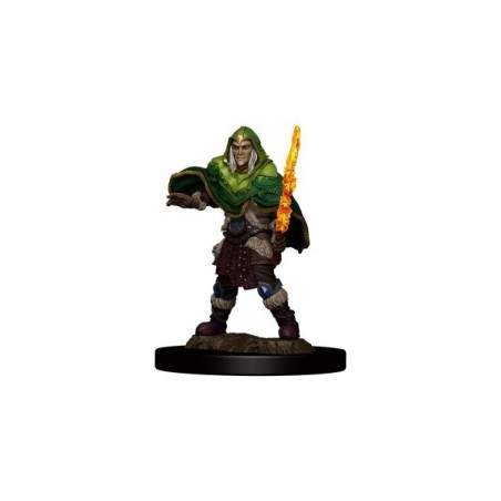 Elf Fighter Male - D&D Icons of the Realms Premium Figures