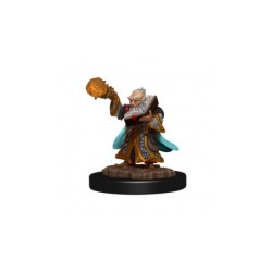 Gnome Wizard Male - D&D Icons of the Realms Premium Figures