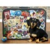 Round the World - Cobble Hill Puzzle 500 pezzi