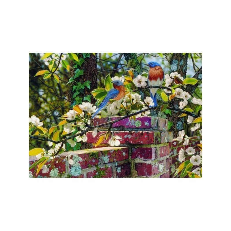 Backyard Blues - Cobble Hill Puzzle 1000 pezzi - gioco da tavolo