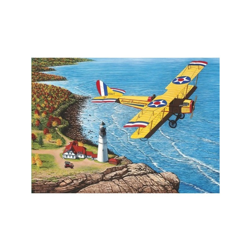 Bennett Barnstorming - Cobble Hill Puzzle 1000 pezzi - gioco da tavolo