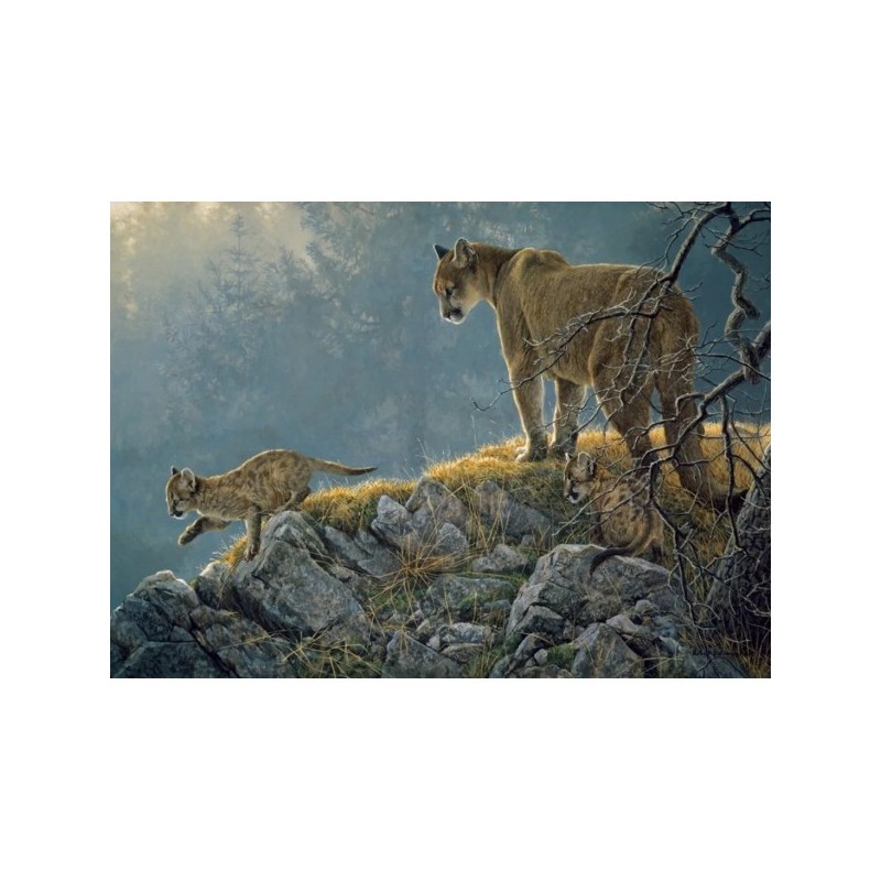 Cougar and Kits - Cobble Hill Puzzle 350 pezzi - gioco da tavolo