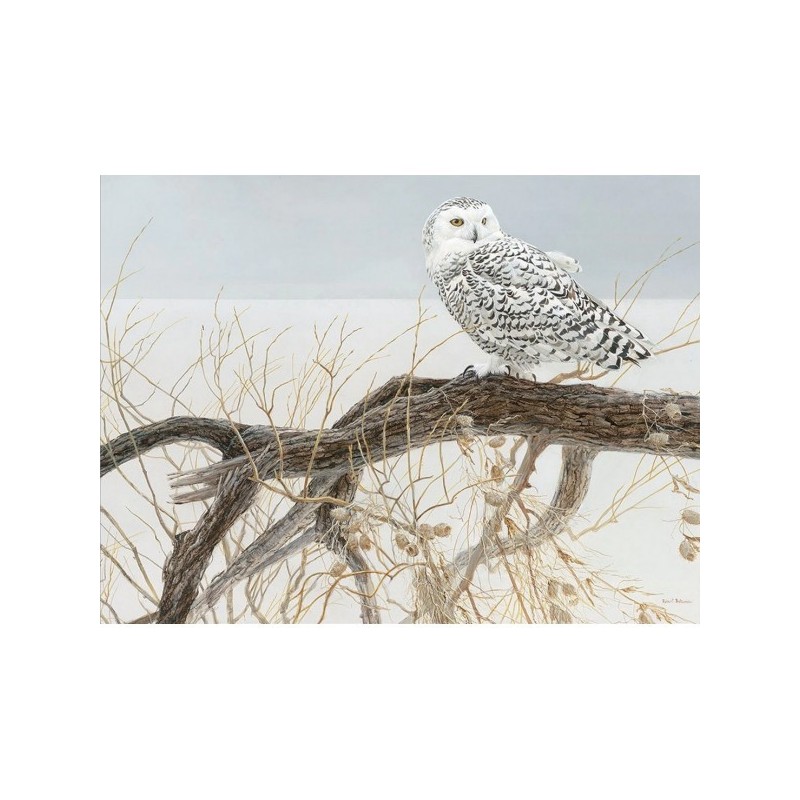 Fallen Willow Snowy Owl - Cobble Hill Puzzle 500 pezzi - gioco da tavolo
