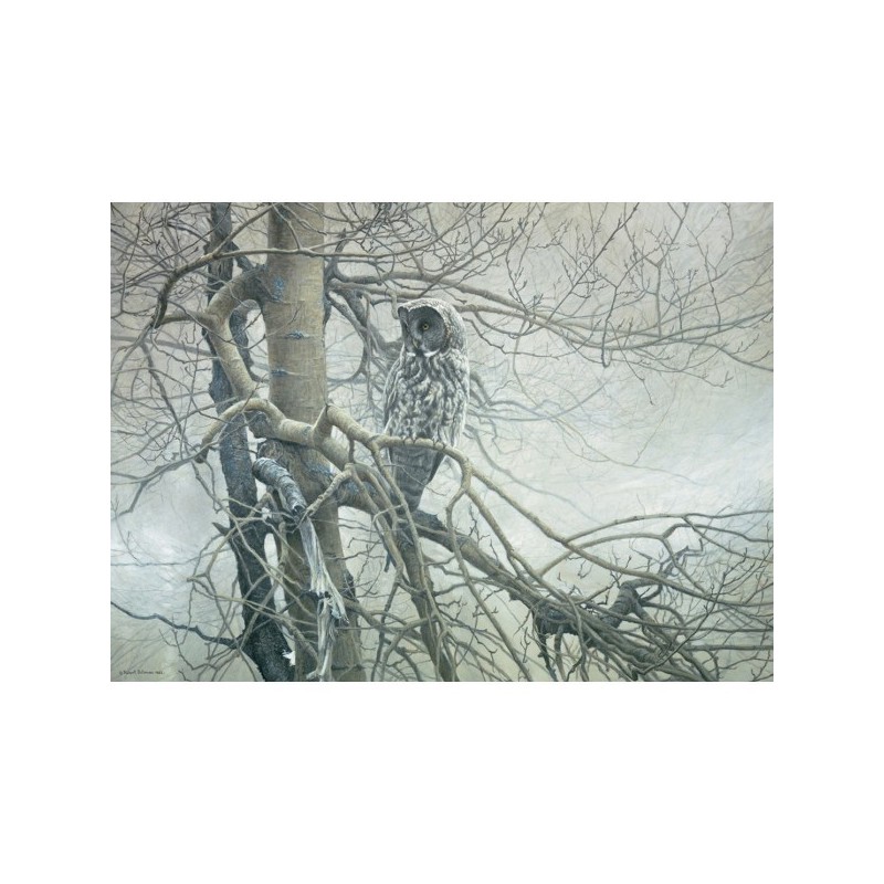 Ghost of the North - Cobble Hill Puzzle 1000 pezzi - gioco da tavolo