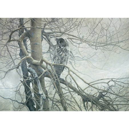 Ghost of the North - Cobble Hill Puzzle 1000 pezzi