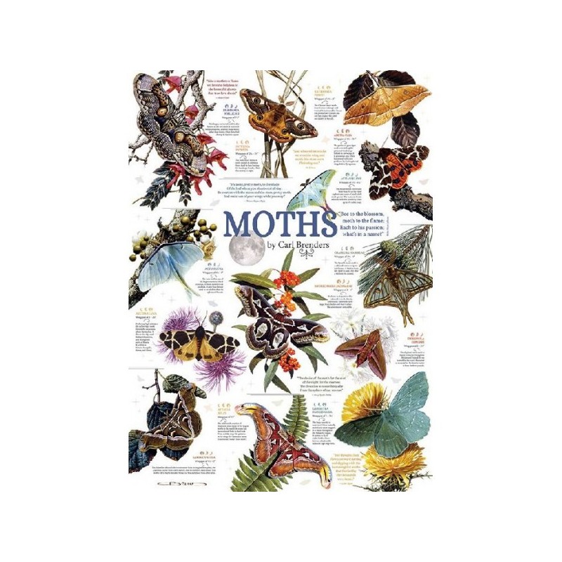 Moth Collection - Cobble Hill Puzzle 1000 pezzi - gioco da tavolo
