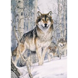 Second Glance - Cobble Hill Puzzle 1000 pezzi