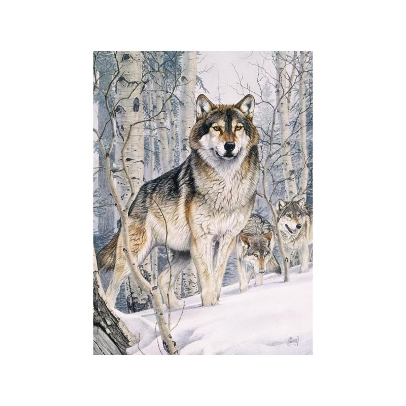 Second Glance - Cobble Hill Puzzle 1000 pezzi - gioco da tavolo