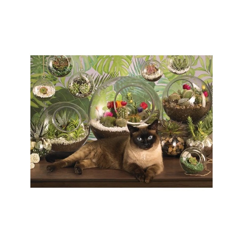 Terrarium Cat - Cobble Hill Puzzle 1000 pezzi - gioco da tavolo