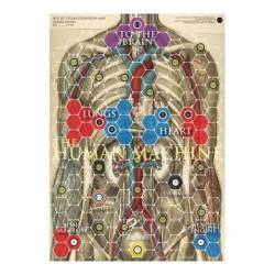 Human Body and Synapses: Age of Steam