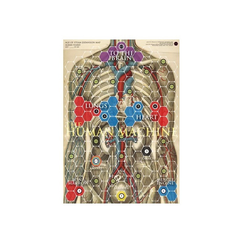 Human Body and Synapses: Age of Steam - gioco da tavolo