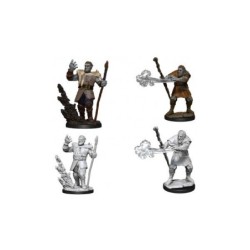 Male Firbolg Druid (2 Units) - D&D Nolzur's Marvelous Unpainted Miniatures