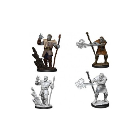Male Firbolg Druid (2 Units) - D&D Nolzur's Marvelous Unpainted Miniatures