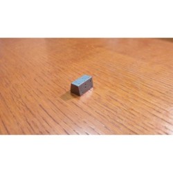 Token Risorsa in metallo FERRO