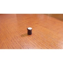 Token Risorsa in resina LEGNO