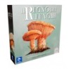 Il Regno dei Funghi