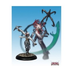 Anima Tactics - Jerome