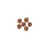 Brown Dice: Zombicide