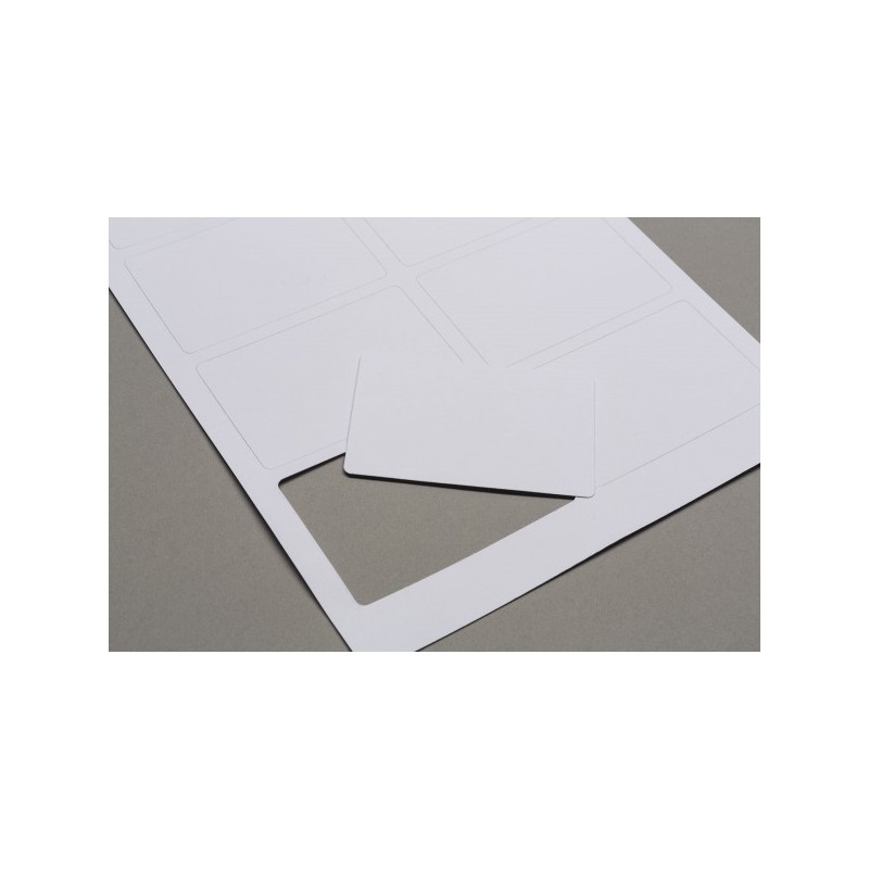 Fogli carte pre-tagliate - accessorio per giochi