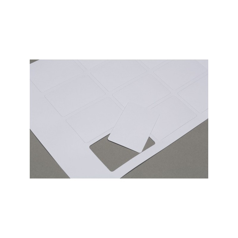 Fogli carte pre-tagliate piccole - accessorio per giochi