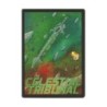 The Celestial Tribunal Environment: Sentinels of the Multiverse