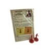 Zombie Taxi Drivers: Ghostbusters: The Board Game