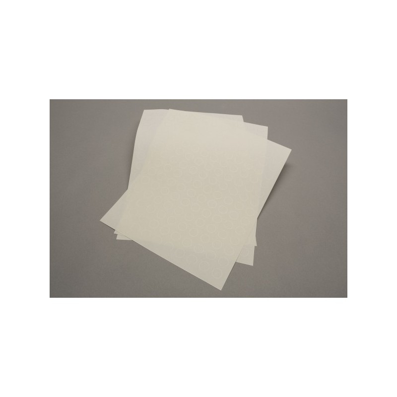 Etichette trasparenti per dischetti e cilindri 15mm (solo stampanti laser, no Inkjet) - accessorio per giochi