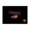 Tribes: Early Civilization