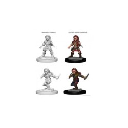 Human Male Sorcerer (2 Units) - D&D Nolzur's Marvelous Unpainted Miniatures