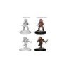 Human Male Sorcerer (2 Units) - D&D Nolzur's Marvelous Unpainted Miniatures