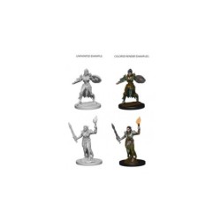 Pathfinder Deep Cuts Unpainted Miniatures - Elf Female Fighter (2 Units)