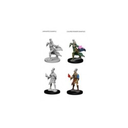 Pathfinder Deep Cuts Unpainted Miniatures - Elf Female Sorcerer (2 Units)