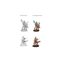 Pathfinder Deep Cuts Unpainted Miniatures - Human Female Sorcerer (2 Units)