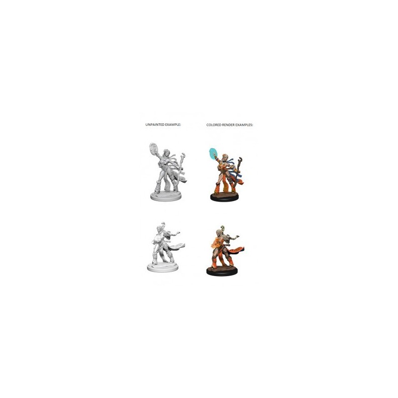 Pathfinder Deep Cuts Unpainted Miniatures - Human Female Sorcerer (2 Units) - accessorio per giochi