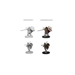 Pathfinder Deep Cuts Unpainted Miniatures - Human Female Paladin (2 Units)
