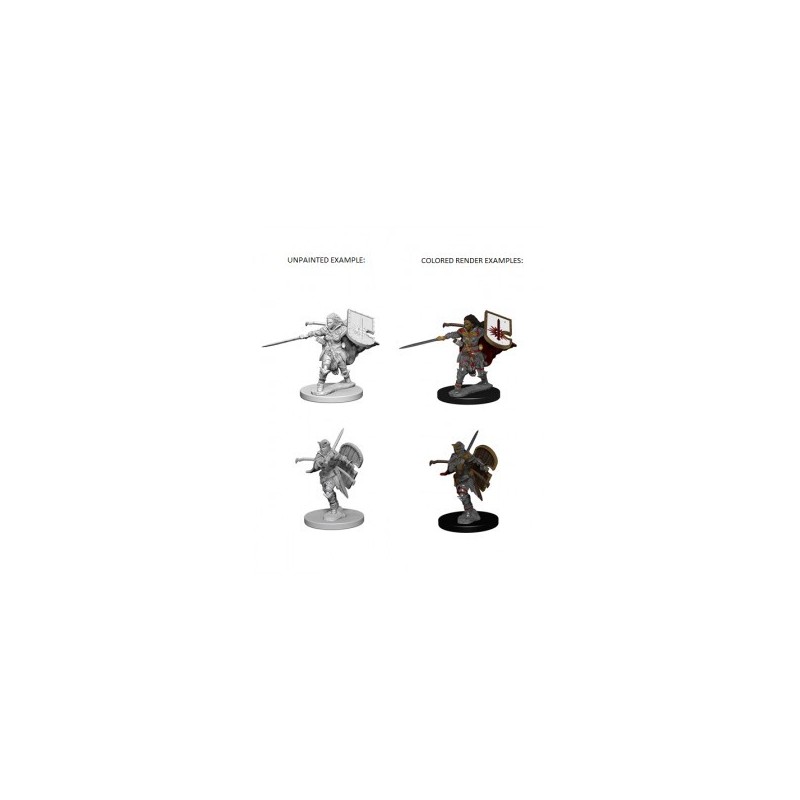 Pathfinder Deep Cuts Unpainted Miniatures - Human Female Paladin (2 Units) - accessorio per giochi