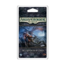 The Labyrinths of Lunacy - Arkham Horror: The Card Game LCG