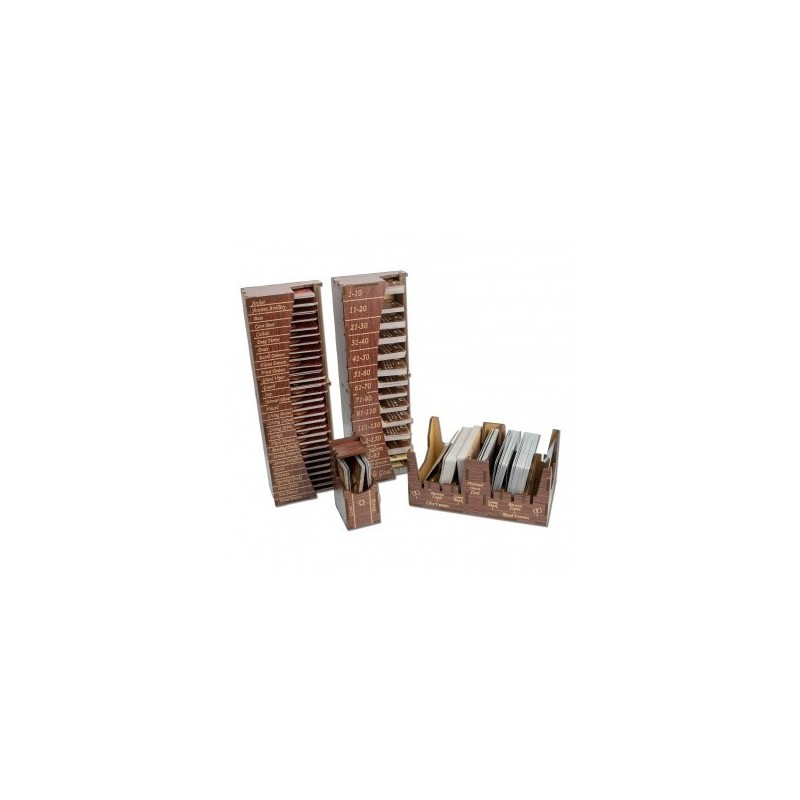 Organizer carte - Gloomhaven (Cards Organizer) - accessorio per giochi