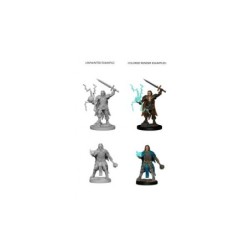 Pathfinder Deep Cuts Unpainted Miniatures - Human Male Cleric (2 Units)