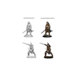 Pathfinder Deep Cuts Unpainted Miniatures - Human Male Fighter (2 Units)