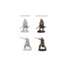 Pathfinder Deep Cuts Unpainted Miniatures - Human Male Fighter (2 Units)